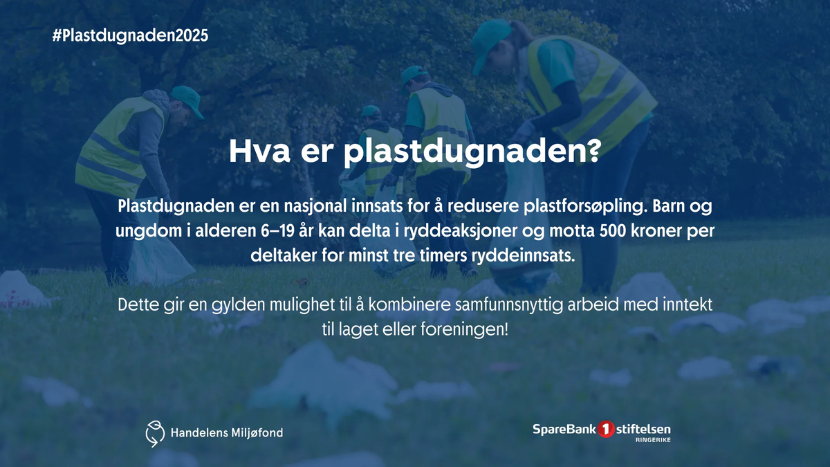 Hva er plastdugnaden?
