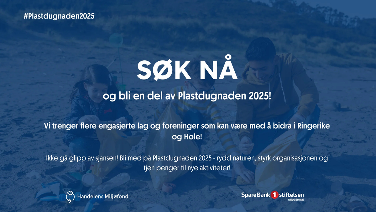 S&oslash;k n&aring; - plastdugnaden