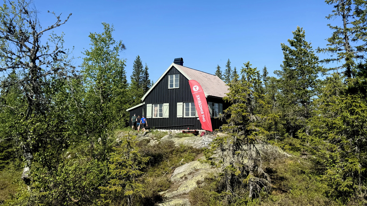 Årets sommergave til Ringeriksregionen!